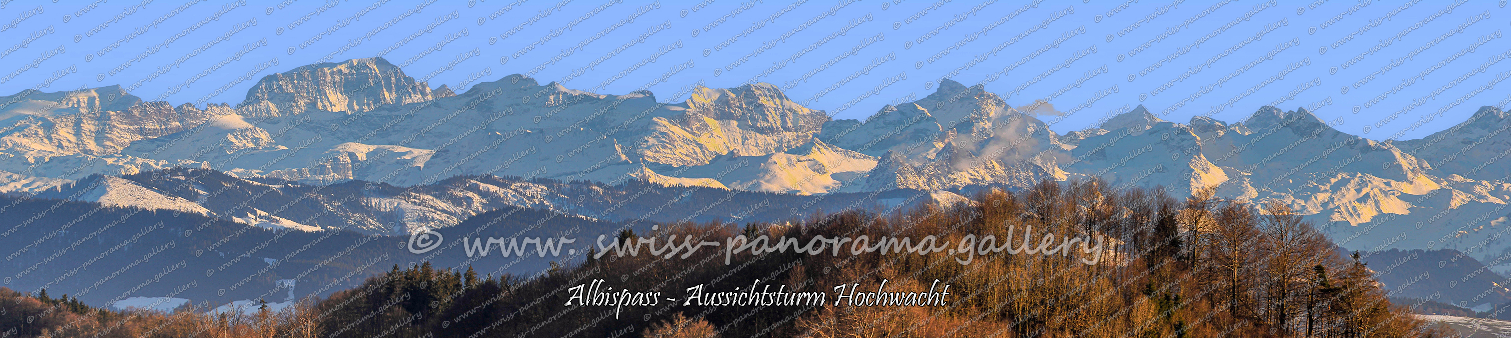 Albis Pass Panorama Alpenpanorame