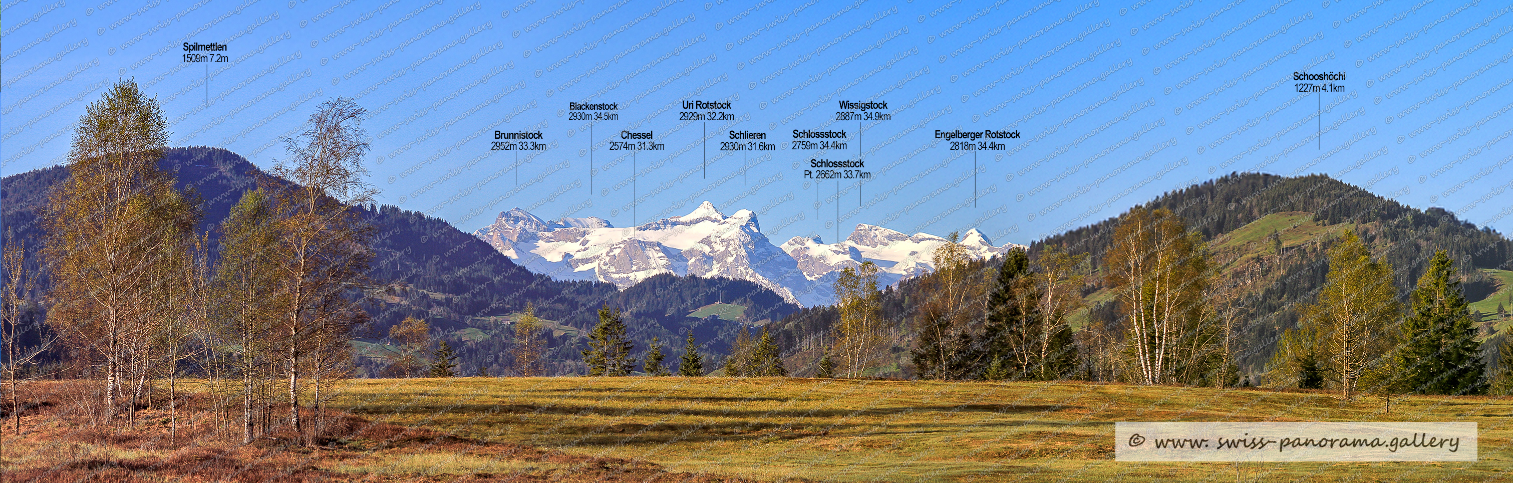 Altmatt panorama Moorlandschaft Rothenturm Altmatt im Kanton Schwyz Hochmoor Rothenturm Schweizer Landschaften