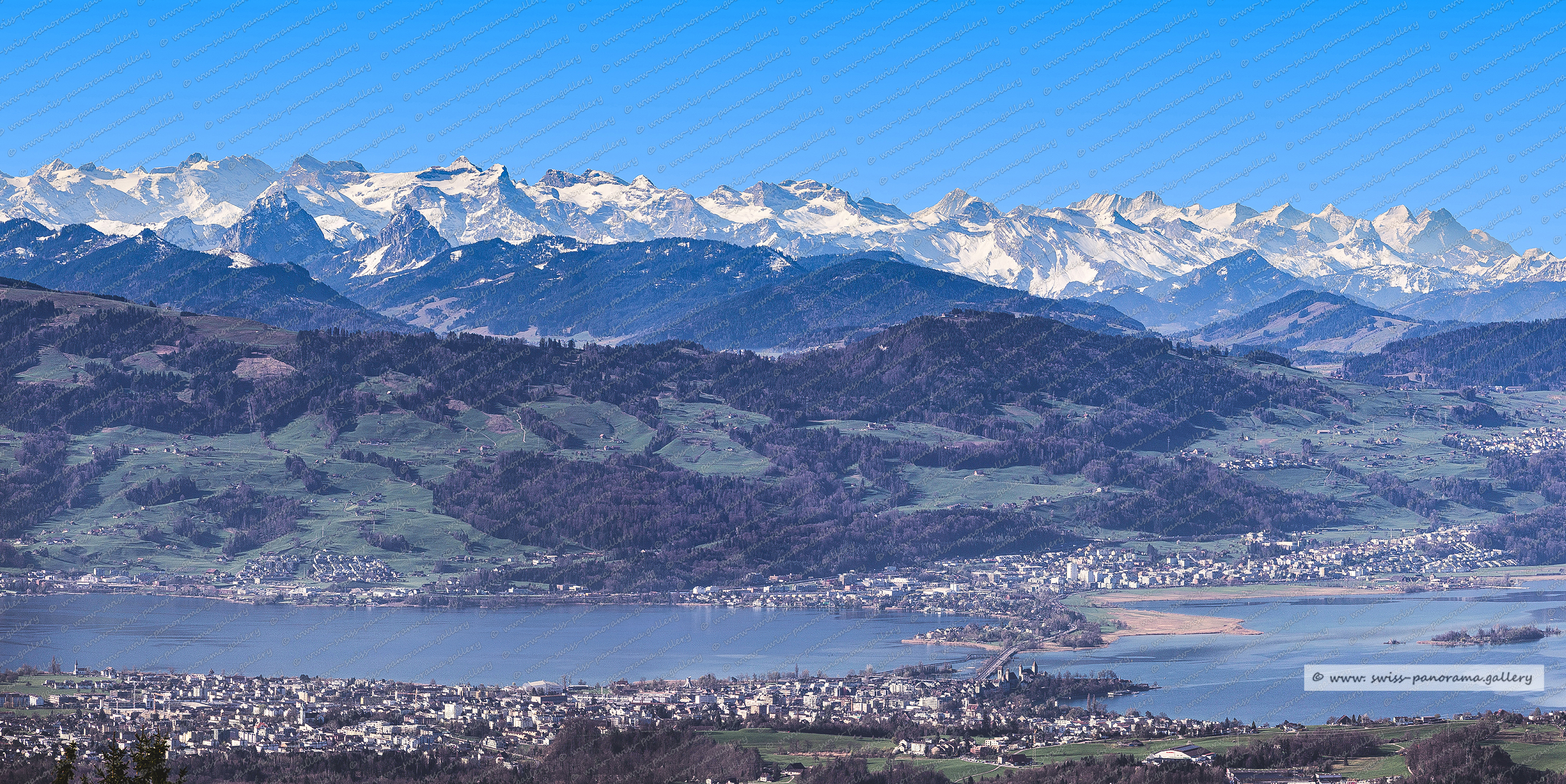 Bachtel Kulm Fernblick zu den Urner und Berner Alpen
