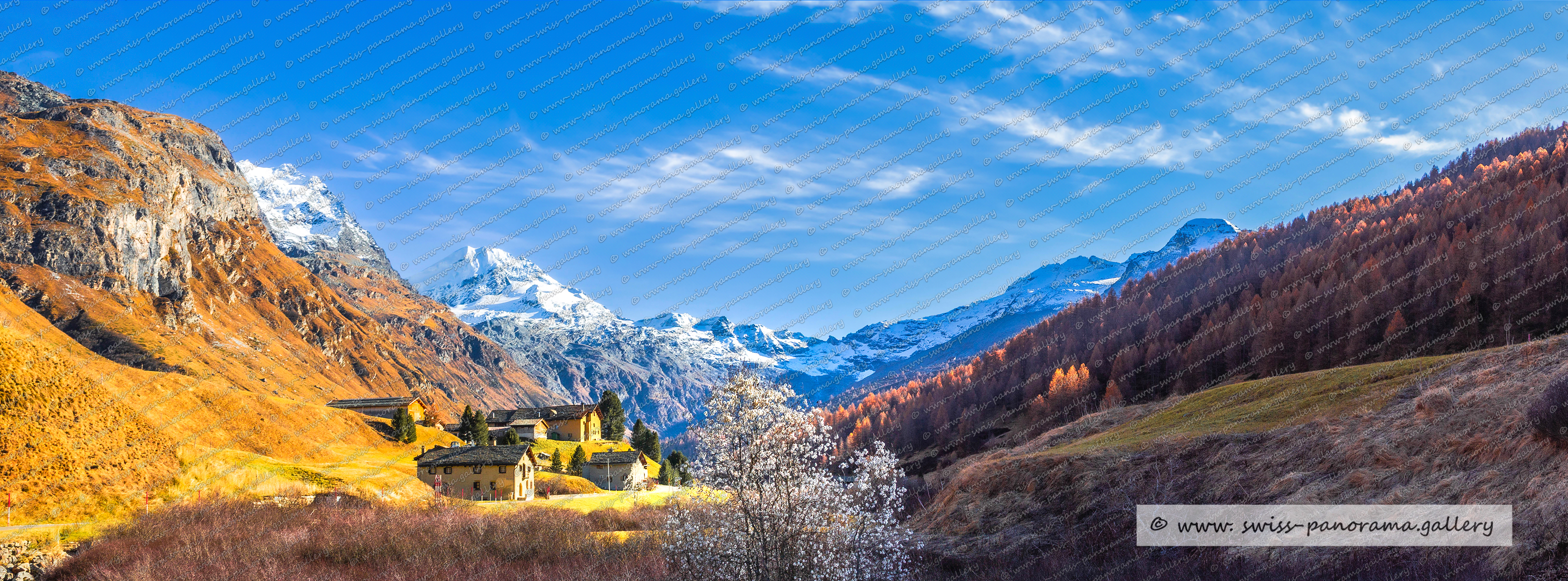 Beschriftetes Alpenpanorama, Silvaplanersee, Silsersee, Fextal, Val Fex, Sils, Chapütschin Pitschen 3328m 4.7km, Hauptgipfel Piz Tremoggia 3441  im Val Fex Grenzberg zu Italien,Beschriftetes Schweizer Alpenpanorama Oberengadin, High resolution panorama photos from Switzerland, Panoramic picture of the Swiss Alps, Panoramic photos of the Swiss Alps, Beschriftetes Panorama Säntis, Swiss Alps, swiss-panorama.gallery, famous Swiss Alps, Swiss Panorama Gallery, labelled mountain panorama from Switzerland, mountain panoramas from Switzerland, Panoramic photo of the Swiss mountains,  Iconic Swiss Alps, panoramic photo prints, Pass das Tremoggia 3014  zu sehen Panobild Val Fex, Fuorcla dal Capütsch 2930m, Hauptgipfel Piz Fora 3363m (GR) - Bregaglia ist ein Grenzberg zu Italien, Fuorcla Fex-Fedoz 3143m, S-Grat Piz Güz, Linie 1Piz Led 3087m (GR) - Sils im Engadin/SeglPiz Salatschina 2826m  (GR) – Bregaglia, Fuorcla da Salatschina 2754m, , swiss panorama.gallery