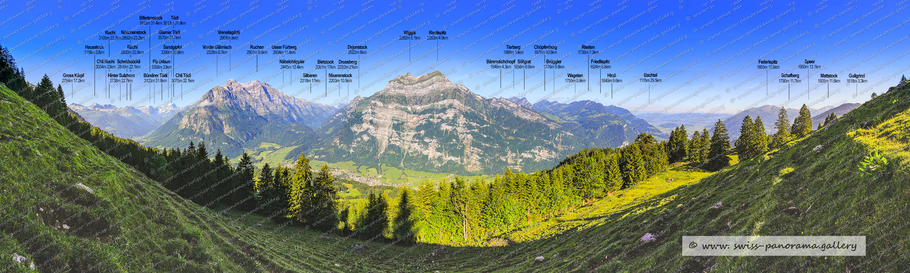 Schweizer Alpenpanorama swiss-panorama.gallery Fronalp, Glarner Alpenpanorama, Beschriftetes Schweizer Alpenpanorama Fronalp oberhalb Mollis, Panoramic picture of the Swiss Alps, Panoramic photos of the Swiss Alps, Glarus Alps, Glarner Alpen, Chli Tödi 3076m  (Rhätaromanisch: Crap Glaruna), Gross Kärpf 2794m, Hinter Sulzhorn 2738m GL, Rüchi 2850m GL, Chli Ruchi 3034m  GL, Ruchi, Scheidstöckli 2810m GL, Hausstock 3158m GL/GR, Bündner Tödi 3123m (Tödi Grischun), Nüschenstock 2892m GL, Sandgipfel 3390m (Tödi), Piz Urlaun 3358m GL/GR, Glarner Tödi 3570m, Tödi 3612m GL/GR Romanisch: Piz Russein, Vorder Glärnisch 2328m, Vrenelisgärtli 2904m (Glärnisch), Ruchen 2901m GL  (Glärnisch),  Miserenstock 2203m (Kanton Schwyz), Bifertengrätli 2520m  GL beim Tödi, Dejenstock 2022m, Bietstock 2061m SZ, Silberen 2318m Kanton Schwyz, Näbelchäppler 2445m, Glarner Tödi 3570m, Usser Fürberg 2604m, Usser Fürberg 2604m, Wiggis 2282m GL   (Rautispitz), Söligrat 1858m GL beim Tierberg, Bärenstichchopf 1664m GL (nähe Rautispitz)   1, Tierberg 1989m SZ/GL beim Bockmattli. Rautispitz 2283m GL, Druesberg 2282m SZ (Muotathal), Friedlispitz1624m GL, Brüggler 1776m GL, Wageten 1755m GL, Hirzli 1640m GL, Chöpfenberg 1879m SZ Wägital, Federispitz 1865m SG, Schafberg 1790 m SG zwischen Federispitz und Speer, Riseten 1736m GL, Mattstock 1935m, Guligrind 1618 m, Speer 1950m SG, swiss panorama, gallery,, Famous Swiss Alps, Swiss Panorama Gallery, labelled mountain panorama from Switzerland, 