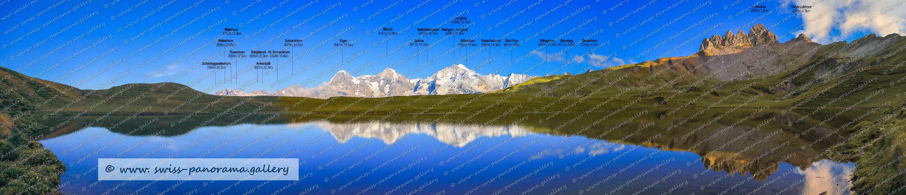 Beschriftetes Alpenpanorama Beschriftetes Alpenpanorama von Rigi, swiss panorama gallery, Beschriftetes Schweizer Alpenpanorama, Naturpanoramen der Schweiz, Panoramic Views Swiss Alps, Wellhorn 3191m im Kanton Bern, Gr. Engelhorn 2782m, Männlichen 2342m BE, Ankenbälli Grindelwald 3160m, Mättenberg 3104m BE, Tschuggen 2520 Berner Oberland, Schreckhorn 4078m im Kanton Bern, Lauberhorn 2472m, Rosenhorn 3689m Bern, Mittelhorn 3702m, Lauteraarhorn 4042m im Kanton Bern,  Chyn Eiger 3467m.    Chyn Eiger 3467m, Wetterhorn 3690m, Bärglistock 3655m, Eiger 3967m BE, Sphinx 3571m, Ankenbälli Guttannen 3601m, Klein Schreckhorn 3494m, Mathildenspitze 3554m im Jungfrau Massiv, Fellenbergflieli 3386m  Punkt im Jungfrau Massiv, Mönch 4107m   Bern/Wallis, Schneehoren 3399m, Goldenhorn 3640m Gipfel Jungfrau Massiv im Kanton Bern, Jungfrau 4158m, Ougstmatthoren 2462m Gipfel im Kanton Bern, Bietenhorn 2756m Gipfel im Kanton Bern auch schwarzbirg genannt, Wyssbirg 2617m Gipfel im Kanton Bern nördlich des Bietenbern, Schwarzbirg 2790m Gipfel im Kanton Bern, Schwarze Schopf 2285m bei den Lobhörnern im Kanton Bern, Schilthorn 2970m Bern, Mittaghorn 3892m Bern/Wallis   , Drättehorn 2794m BE , Äbni Flue 3961m Bern/Wallis, swiss panorama gallery,  