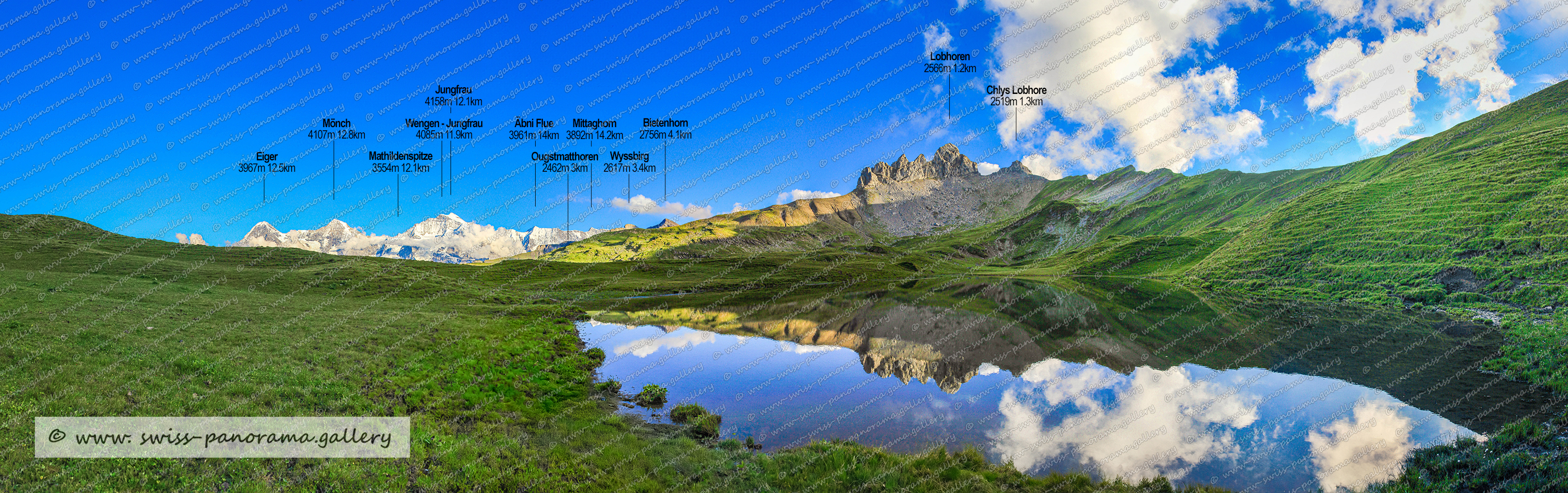 Beschriftetes Alpenpanorama Beschriftetes Alpenpanorama von Rigi,, swiss panorama gallery, Beschriftetes Schweizer Alpenpanorama, Naturpanoramen der Schweiz, Panoramic Views Swiss Alps, Wellhorn 3191m im Kanton Bern, Gr. Engelhorn 2782m, Männlichen 2342m BE, Ankenbälli Grindelwald 3160m, Mättenberg 3104m BE, Tschuggen 2520 Berner Oberland, Schreckhorn 4078m im Kanton Bern, Lauberhorn 2472m, Rosenhorn 3689m Bern, Mittelhorn 3702m, Lauteraarhorn 4042m im Kanton Bern,  Chyn Eiger 3467m.    Chyn Eiger 3467m, Wetterhorn 3690m, Bärglistock 3655m, Eiger 3967m BE, Sphinx 3571m, Ankenbälli Guttannen 3601m, Klein Schreckhorn 3494m, Mathildenspitze 3554m im Jungfrau Massiv, Fellenbergflieli 3386m  Punkt im Jungfrau Massiv, Mönch 4107m   Bern/Wallis, Schneehoren 3399m, Goldenhorn 3640m Gipfel Jungfrau Massiv im Kanton Bern, Jungfrau 4158m, Ougstmatthoren 2462m Gipfel im Kanton Bern, Bietenhorn 2756m Gipfel im Kanton Bern auch schwarzbirg genannt, Wyssbirg 2617m Gipfel im Kanton Bern nördlich des Bietenbern, Schwarzbirg 2790m Gipfel im Kanton Bern, Schwarze Schopf 2285m bei den Lobhörnern im Kanton Bern, Schilthorn 2970m Bern, Mittaghorn 3892m Bern/Wallis   , Drättehorn 2794m BE , Äbni Flue 3961m Bern/Wallis, swiss panorama gallery, 