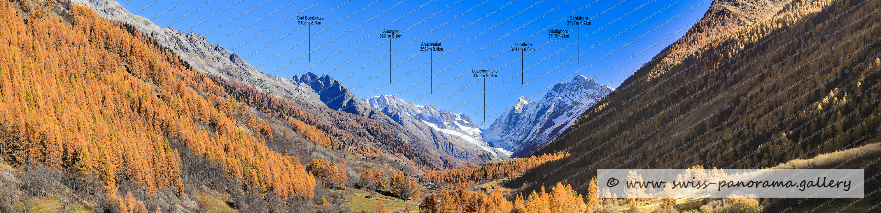 Beschriftetes Alpenpanorama,  Anuchnubel 3591m, Lötschenlücke 3152m, Anungrat 3691m, Distlighorn 3716m, Schinhorn 3797m, 
Sattelhorn 3741m, Grat Burstspitza 3195m, swiss panorama gallery