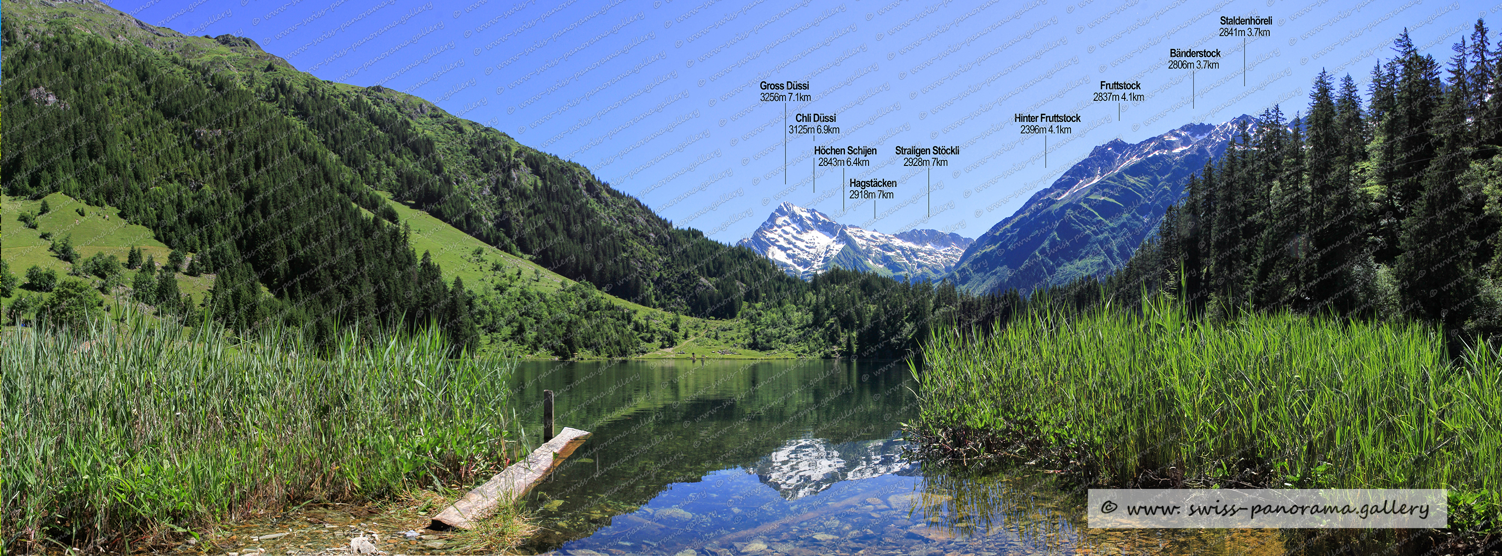Alpenpanorama beschriftet, Golzern im Maderanertal, Sichtbare Berggipfel, Gross Düssi 3256m, Straligen Stöckli 2928m, Chli Düssi 3125m, Hagstäcken 2918m  , Höchen Schijen 2843m 6.4km, Bänderstock 2806m, Staldenhöreli 2841m, Bänderstock 2806m, Gross Düssdi NW Grat 2821m, Hinter Fruttstock 2396m, Geschel 1747m, Chli Düssi 3125m, Chli Oberälpler  3085m, Tscharren 2521m, Stöckli 2554m, Hoch Egg 2189m, Etzlibergstock 2613m, Witenalpstock 3016m Nordgipfel , Mutsch 2790m , Rossbodenstock 2461m,  Hälsistock 2965m,   Witenalpstock  3016m, Piz Nair 3059m, Piz Giuv  3096m, Rohrspitzli 3220m, Chüeplanggenstock 3209m, Gemsplanggenstöckli 2809m, Chli Bristen 2202m, Schafschijen 2840m, Fleckistock 3417m, Swiss mountain panorama