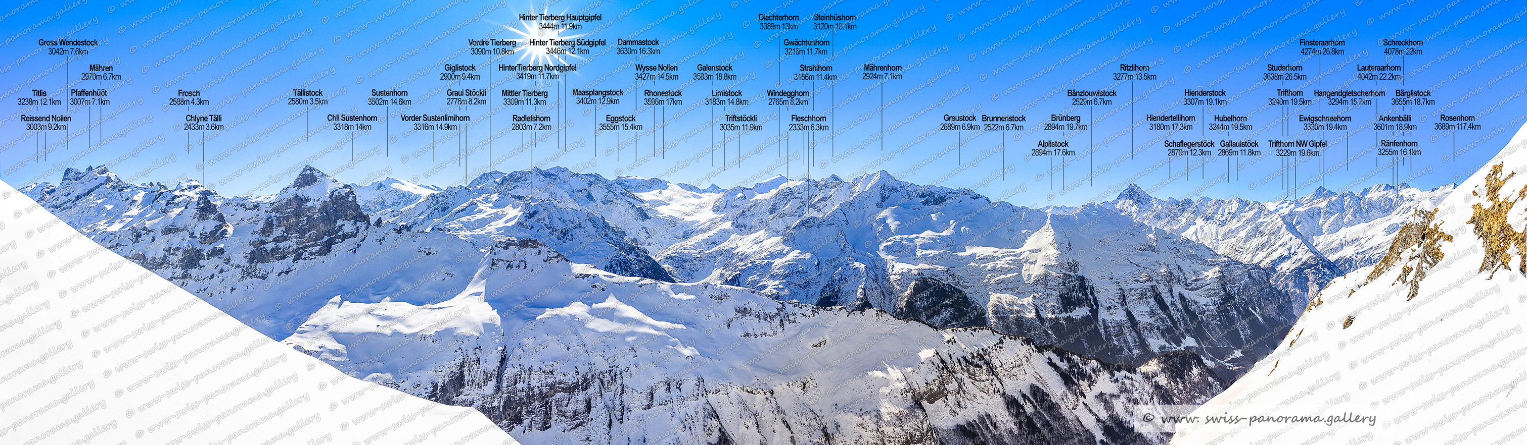 swiss-panorama.gallery, swiss panorama gallery, Beschriftetes Schweizer Alpenpanorama Melchsee Frutt, High resolution panorama photos from Switzerland, Panoramic picture of the Swiss Alps, Panoramic photos of the Swiss Alps, Beschriftetes Panorama Melchsee Frutt, Swiss Alps, swiss-panorama.gallery, famous Swiss Alps, Swiss Panorama Gallery, labelled mountain panorama from Switzerland, mountain panoramas from Switzerland, Panoramic photo of the Swiss mountains,  Iconic Swiss Alps, Strahlhorn 3156m nördlich des Diechterhoren BE, Chlyne Tälli 2433m BE, Tällistock 2580m BE, Titlis 3238m OW/BE, Frosch 2588m 3.4km, Pfaffenhüöt 3007m OW/BE, Mähren 2970m BE, Reissend Nollen 3003m BE/OW, Gross Wendestock, Chli Sustenhorn 3318 m, Vorder Sustenlimihorn 3316m, Graui Stöckli 2776m BE, Giglistock 2900m  , Sustenhorn 3502m, Radlefshorn 2603m 7.2km, Vordre Tierberg 3090m 10.8km BE, HinterTierberg Nordgipfel 3419m, Maasplangstock 3402m, Mittler Tierberg 3309m, Rhonestock 3596m, Hinter Tierberg Hauptgipfel 3444m, Eggstock 3555m (Dammastock), Hinter Tierberg Südgipfel 3446m, Wysse Nollen 3427m, Triftstöckli 3035 m, Galenstock 3583m 18.8km, Dammastock 3630m, Fleschhoren 2333m, Graustock 2689m BE, Windegghoren 2765m BE,  Gwächtenhoren 3216m BE, Diechterhorn 3389m, Alplistock 2894m BE, Steinhüshoren 3120m BE 10.1km, Brunnenstock 2522m BE zwischen Bänzlouwistock und Graustock, Limistoc, Schreckhorn 4078m im Kanton Bern, Studerhorn 3638m VS, k 3183m 14,8km  BE/VS, Brünberg 2982m BE 19.7km, Hiendertellihorn 3180 BE, Mährenhorn 2924m BE, Schaflegerstöck 2870m, Hubelhorn 3244m 19.5km BE, Gallauistöck 2869m BE, Hienderstock 3307m BE, Ritzlihorn 3277m BE   auch Ritzlihoren genannt, Ewigschneehorn 3330m BE auch Ewigschneehoren genannt, Trifthorn 3229m BE   auch Trifthoren genannt  , Finsteraarhorn 4274m 26,8km, Ränfenhorn 3255m BE, Bärglistock 3655m BE, Hangendgletscherhorn 3294m BE, Rosenhorn 3689m Bern, Ankenbälli Guttannen 3601m, Bänzlouwistock 2529mm BE, Trifthorn 3240m, Lauteraarhorn 4042m im Kanton Bern