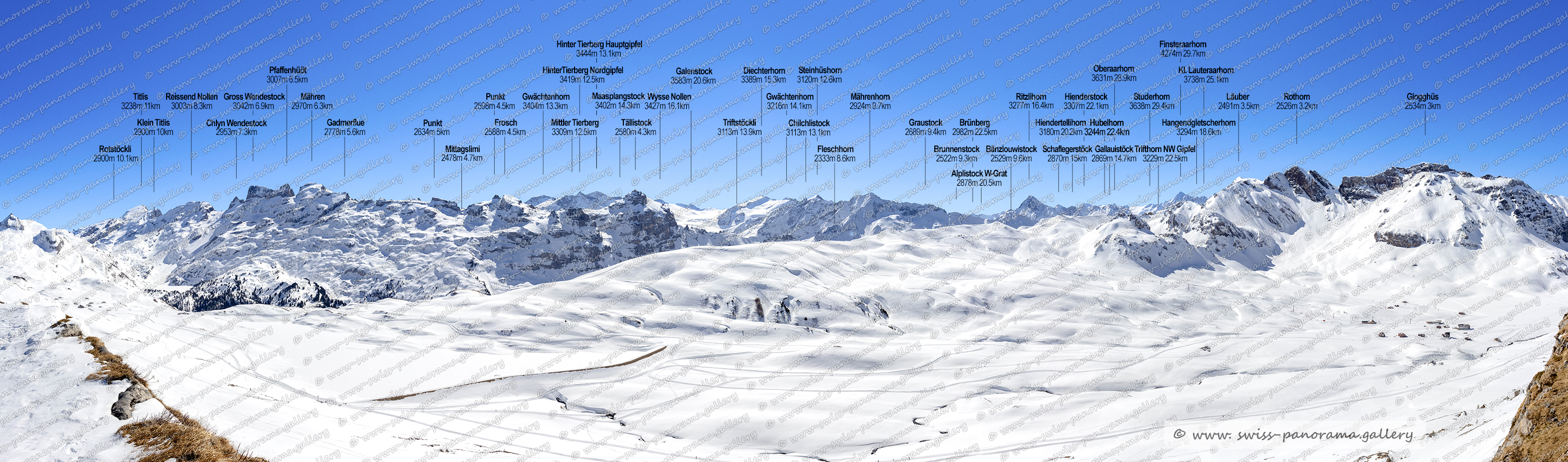 swiss-panorama.gallery, swiss panorama gallery, Beschriftetes Schweizer Alpenpanorama Melchsee Frutt, High resolution panorama photos from Switzerland, Panoramic picture of the Swiss Alps, Panoramic photos of the Swiss Alps, Beschriftetes Panorama Melchsee Frutt, Swiss Alps, swiss-panorama.gallery, famous Swiss Alps, Swiss Panorama Gallery, labelled mountain panorama from Switzerland, mountain panoramas from Switzerland, Panoramic photo of the Swiss mountains,  Iconic Swiss Alps, Strahlhorn 3156m nördlich des Diechterhoren BE, Chlyne Tälli 2433m BE, Tällistock 2580m BE, Titlis 3238m OW/BE, Frosch 2588m 3.4km, Pfaffenhüöt 3007m OW/BE, Mähren 2970m BE, Reissend Nollen 3003m BE/OW, Gross Wendestock, Chli Sustenhorn 3318 m, Vorder Sustenlimihorn 3316m, Graui Stöckli 2776m BE, Giglistock 2900m  , Sustenhorn 3502m, Radlefshorn 2603m 7.2km, Vordre Tierberg 3090m 10.8km BE, HinterTierberg Nordgipfel 3419m, Maasplangstock 3402m, Mittler Tierberg 3309m, Rhonestock 3596m, Hinter Tierberg Hauptgipfel 3444m, Eggstock 3555m (Dammastock), Hinter Tierberg Südgipfel 3446m, Wysse Nollen 3427m, Triftstöckli 3035 m, Galenstock 3583m 18.8km, Dammastock 3630m, Fleschhoren 2333m, Graustock 2689m BE, Windegghoren 2765m BE,  Gwächtenhoren 3216m BE, Diechterhorn 3389m, Alplistock 2894m BE, Steinhüshoren 3120m BE 10.1km, Brunnenstock 2522m BE zwischen Bänzlouwistock und Graustock, Limistoc, Schreckhorn 4078m im Kanton Bern, Studerhorn 3638m VS, k 3183m 14,8km  BE/VS, Brünberg 2982m BE 19.7km, Hiendertellihorn 3180 BE, Mährenhorn 2924m BE, Schaflegerstöck 2870m, Hubelhorn 3244m 19.5km BE, Gallauistöck 2869m BE, Hienderstock 3307m BE, Ritzlihorn 3277m BE   auch Ritzlihoren genannt, Ewigschneehorn 3330m BE auch Ewigschneehoren genannt, Trifthorn 3229m BE   auch Trifthoren genannt  , Finsteraarhorn 4274m 26,8km, Ränfenhorn 3255m BE, Bärglistock 3655m BE, Hangendgletscherhorn 3294m BE, Rosenhorn 3689m Bern, Ankenbälli Guttannen 3601m, Bänzlouwistock 2529mm BE, Trifthorn 3240m, Lauteraarhorn 4042m im Kanton Bern