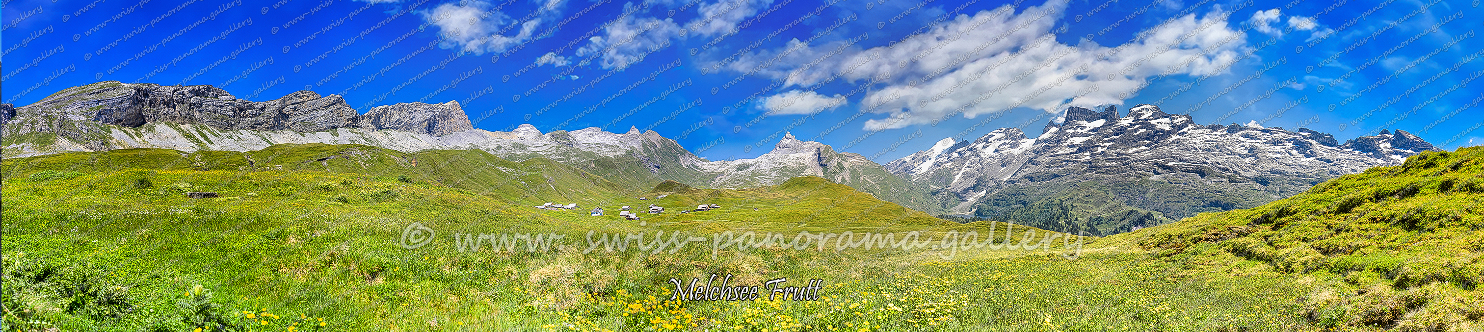 Melchsee Frutt Panorama,
Beschriftetes Schweizer Alpenpanorama Melchsee Frutt , Panoramic picture of the Swiss Alps, Panoramic photos of the Swiss Alps, Beschriftetes Panorama Tannalp, Swiss Alps, swiss-panorama.gallery, famous Swiss Alps, Swiss Panorama Gallery, labelled mountain panorama from Switzerland, mountain panoramas from Switzerland, Iconic Swiss Alps, Hohmad 2442m Melchsee Frutt, Chli Hohmad 2492m Melchsee Frutt, Barglen Schiben 2470m Obwalden, Tannenstock 2444m OW, Rotsandnollen 2700m NW/OW, Schwarzhorn 2639m NW/OW, Henglihorn 2628m  Kanton Obwalden Östliche Melchtaler Alpen, Spycherflüö 2050m Melchsee FruttWild Geissberg Punkt 2655m, Gwärtler 2436m OW beim Graustock, Schafberg OW 2523m, Vogelbüel 2073m Melchsee Frutt, Klein Titlis 3061m OW/BE, Titlis 3238m OW/BE, Rotstöckli 2900m bei Titlis, Reissend Nollen 3003m BE/OW, Chlyn Wendestock 2953m, Gross Wendestock 3042m  BE  , Graustock 2662m ein Berg am Dreikantonseck Obwalden Nidwalden und Bern, Mähren 2970m BE, Gadmerflue 2778m BE, Pfaffenhüöt 3007m OW/BE  , Unbnannter Punkt 2634m 3.7km, Frosch 2588m 3.4km, Mittagslimi 2478m 3.5km BE, 
