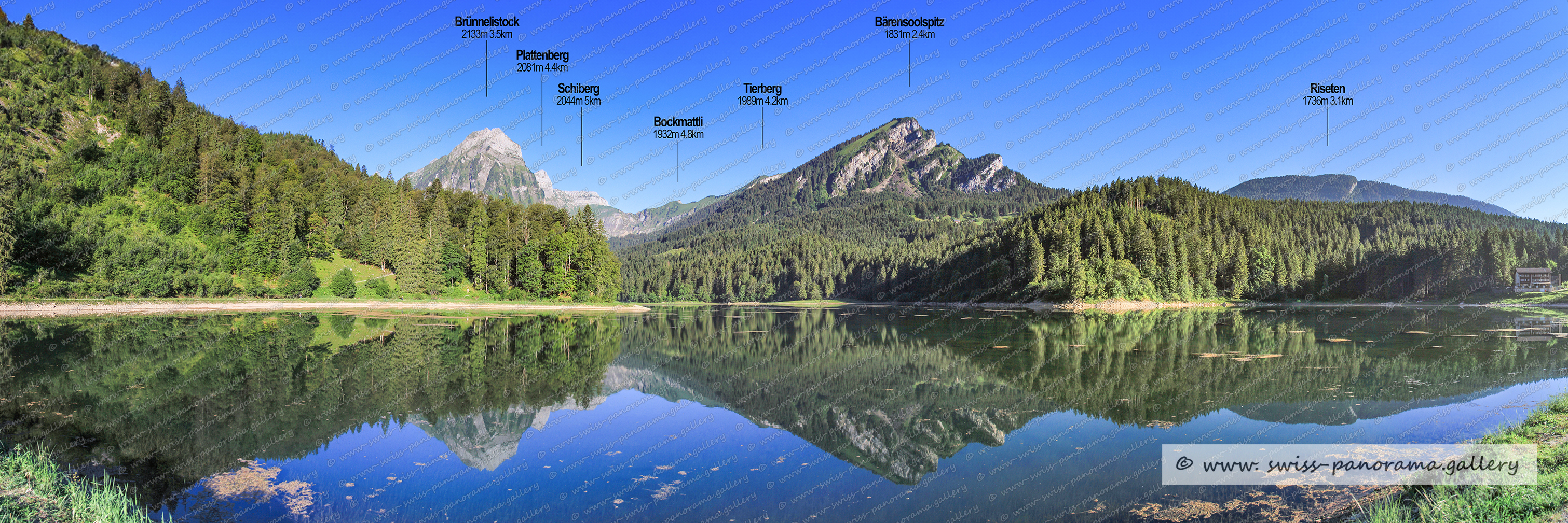 Panoramic picture of the Swiss Alps, Panoramic pjhotos oft he Swiss Alps, Glarus Süd, Glarner Grosstal, Beschriftetes Alpenpanorama vom Obersee Tal im Kanton Glarus, Schweizer Alpenpanorama, Obersee, Brünnelistock 2133m  SZ/GL   Wägital/Oberseetal, Schiberg 2044m SZ/GL Wägital/Oberseetal, Bockmattli 1932m SZ Wägital, Plattenberg 2062m  GL/SZ (Wägital/Oberseetal), Tierberg 1989m SZ/GL beim Bockmattli, Bärensoolspitz 1831m 2.4km Glarus Oberseetal, Riseten 1736m GL, swiss panorama.gallery, swiss panorama, gallery, Famous Swiss Alps, Swiss Panorama Gallery, labelled mountain panorama from Switzerland, Swiss Panorama Gallery