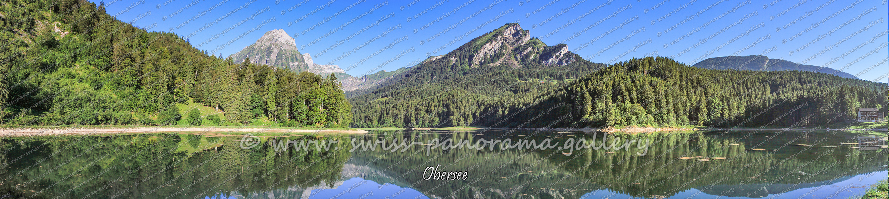 Switzerland panorama Fronalp Mollis