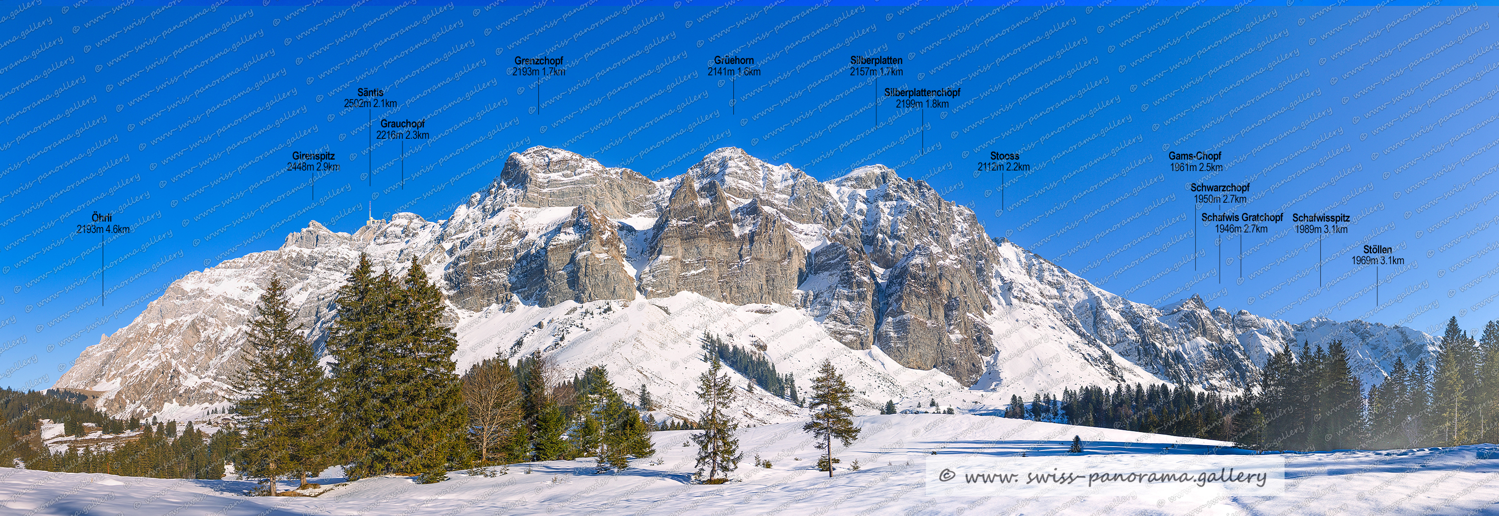 Beschriftetes Schweizer Alpenpanorama Melchsee Frutt, High resolution panorama photos from Switzerland, Panoramic picture of the Swiss Alps, Panoramic photos of the Swiss Alps, Beschriftetes Panorama Tannalp, Swiss Alps, swiss-panorama.gallery, famous Swiss Alps, Swiss Panorama Gallery, labelled mountain panorama from Switzerland, mountain panoramas from Switzerland, Panoramic photo of the Swiss mountains,  Iconic Swiss Alps, Hohmad, Säntis 2502m 5.5km, Grauchopf, Grenzchopf 2193m, Silberplatten (SG) - Nesslau 2157m Gipfel im Alpstein, Grüehorn (SG) - Nesslau 2141m Gipfel im Alpstein, Stooss (SG) - Wildhaus-Alt St. Johann 2112m, Gams-Chopf (SG) - Nesslau 1961m  Alpstein, Silberplattenchöpt  2199m 3.2km, Stoosssattel  2043m - Wildhaus-Alt St. Johann 2112m, Schwarzchopf (SG) – Nessl, Schofwisspitz (SG) - Wildhaus-Alt St. Johann, 1950m Schwarzchopf (SG) - Nesslau 1950m, Scherenspitzen 1926mStöllen 1969m, Lütispitz (SG) - Wildhaus-Alt St. Johann 1986m, Windenpass 1629m 2.4km, Gmeinenwishöchi (SG) - Wildhaus-Alt St. Johann 1817m, Schofwis Gratchopf 1946 m,