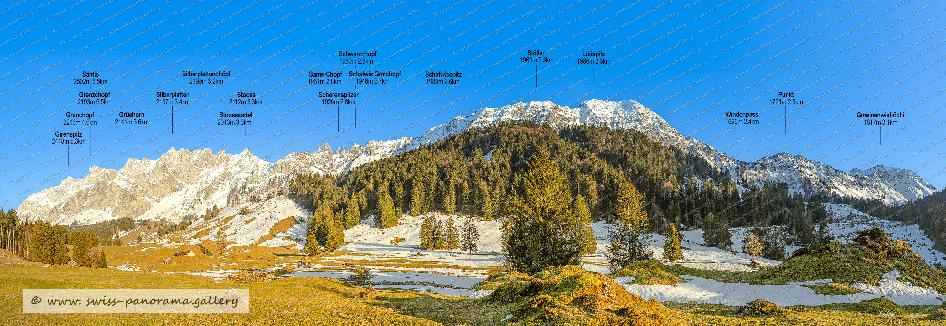 Beschriftetes Schweizer Alpenpanorama Melchsee Frutt, High resolution panorama photos from Switzerland, Panoramic picture of the Swiss Alps, Panoramic photos of the Swiss Alps, Beschriftetes Panorama Tannalp, Swiss Alps, swiss-panorama.gallery, famous Swiss Alps, Swiss Panorama Gallery, labelled mountain panorama from Switzerland, mountain panoramas from Switzerland, Panoramic photo of the Swiss mountains,  Iconic Swiss Alps, Hohmad, Säntis 2502m 5.5km, Grauchopf, Grenzchopf 2193m, Silberplatten (SG) - Nesslau 2157m Gipfel im Alpstein, Grüehorn (SG) - Nesslau 2141m Gipfel im Alpstein, Stooss (SG) - Wildhaus-Alt St. Johann 2112m, Gams-Chopf (SG) - Nesslau 1961m  Alpstein, Silberplattenchöpt  2199m 3.2km, Stoosssattel  2043m - Wildhaus-Alt St. Johann 2112m, Schwarzchopf (SG) – Nessl, Schofwisspitz (SG) - Wildhaus-Alt St. Johann, 1950m Schwarzchopf (SG) - Nesslau 1950m, Scherenspitzen 1926mStöllen 1969m, Lütispitz (SG) - Wildhaus-Alt St. Johann 1986m, Windenpass 1629m 2.4km, Gmeinenwishöchi (SG) - Wildhaus-Alt St. Johann 1817m, Schofwis Gratchopf 1946 m,