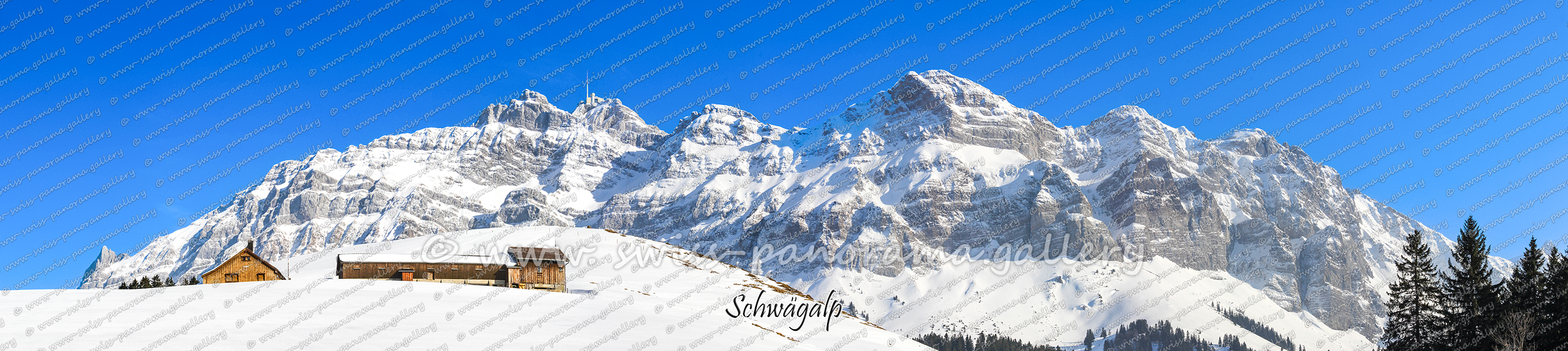 Churfirsten Alpen Panorama Alp Siegel 1769m 35.3km, Hängeten Ostgipfel 2023m 31km, Hängeten 2209m 31.5km, Grenzchopf 2193m 29km, Wildhuser Schafberg 2373m 31.8km. Silberplatten 2158m 28.9km, Gams Chopf 2959m 28.8km, Schafwisspitz 1989m 28.7km, Hinterrugg 2236m 34.1km, Zuestoll 2235m 33.6km. Wart 2068m 32.2km, Schlosshöchi 1033m 4km, Leistchamm 2101m 31.2km. Glattchamm 2097m 31.3km Nägeliberg 2163m 31.9km, Schären 2194m 32km, Frimsel 2267m 32km, Selun2205m 32.4km, Brisi 2279m 33.3km. Schibenstoll 2236m 34.1km, Chäserrugg 2261m 34.9km, Gamsberg 2385m 38.7km. Stockberg 1781m 25.4km, Lütispitz 1987m 28.1km, Stöllen 1967m 28.4km, Schwarzkopf 1949m, 28.9km, Stoss 2111m 29.2km,  Grauchopf 2216m 29.4km, Girenspitz 2248m 29.8km, Grauchopf 2216m 29.4km, Säntis 2502m 30.1km, Hüenerberg 2312m 29.9km, Höch Nideri 2246m 30km, Öhrli  2194m 30.4km, Ebenalp 1640m 33.1km, Wennelichöpf 1616m 38.2km, Kamor 1751m 38.3km