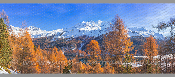 Silvaplanersee Altocumulus Wolken Reflektion Alpen Panorama Oberengadin