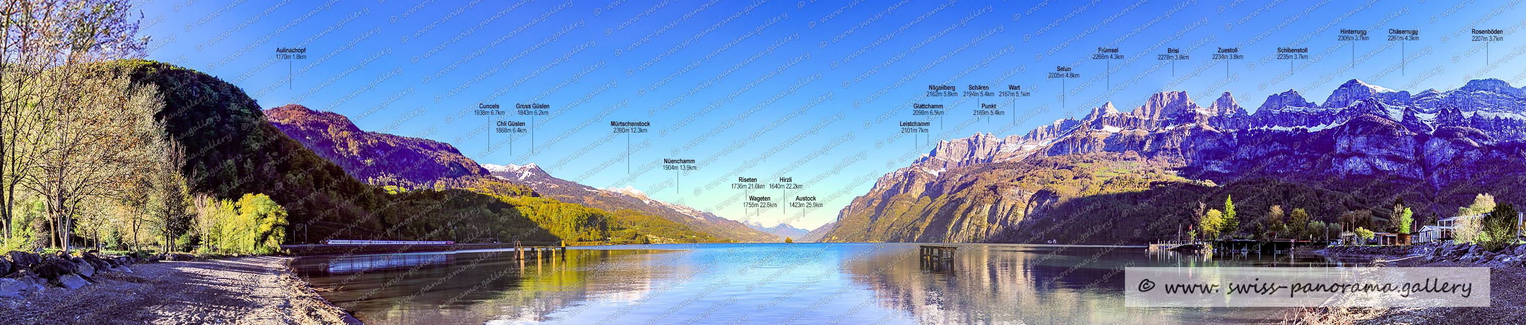 Walensee Panorama Walenstadt
Beschriftetes Schweizer Alpenpanorama Walenstadt , Panoramic picture of the Swiss Alps, Panoramic photos of the Swiss Alps, Beschriftetes Panorama Walensee, Beschriftetes Panorama Churfirsten, Schären 2194m SG (Churfirsten), Nägeliberg 2162m, Leistchamm 2101m SG (Churfirsten), Selun 2205m SG (Churfirsten), Wart 2167m SG (Churfirsten), Glattchamm 2098m SG (Churfirsten), Frümsel 2266m SG (Churfirsten), Brisi 2278m SG (Churfirsten)  , Hinterrugg 2306m SG (Churfirsten), Zuestoll 2234m  SG (Churfirsten)  , Schibenstoll 2235m  SG (Churfirsten), Hirzli 1640m, Austock 1423m SZ (Reichenburg)  25.9km, Wageten 1755m GL 22,6km, Chäserrugg 2261m SG (Churfirsten) 4.2km, Riseten 1736m GL, Chli Güslen 1868m SG,  Mürtshenstock (Stock) 2390m, Nüenchamm1904mGL  13.9km, Rosenböden 2207m SG (Churfirsten) 4.2km, Cuncels 1938m 6.7km, Gross Güslen 1843m SG, Aulinachopf 1170m, swiss-panorama.gallery, famous Swiss Alps, Swiss Panorama Gallery, labelled mountain panorama from Switzerland,