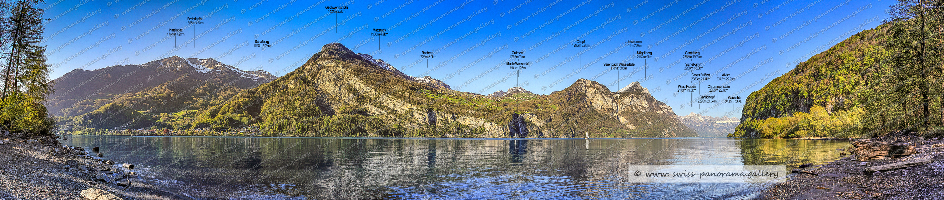 Walensee Panorama Walenstadt
Beschriftetes Schweizer Alpenpanorama Walenstadt , Panoramic picture of the Swiss Alps, Panoramic photos of the Swiss Alps, Beschriftetes Panorama Walensee, Beschriftetes Panorama Churfirsten, Schären 2194m SG (Churfirsten), Nägeliberg 2162m, Leistchamm 2101m SG (Churfirsten), Selun 2205m SG (Churfirsten), Wart 2167m SG (Churfirsten), Glattchamm 2098m SG (Churfirsten), Frümsel 2266m SG (Churfirsten), Brisi 2278m SG (Churfirsten)  , Hinterrugg 2306m SG (Churfirsten), Zuestoll 2234m  SG (Churfirsten)  , Schibenstoll 2235m  SG (Churfirsten), Hirzli 1640m, Austock 1423m SZ (Reichenburg)  25.9km, Wageten 1755m GL 22,6km, Chäserrugg 2261m SG (Churfirsten) 4.2km, Riseten 1736m GL, Chli Güslen 1868m SG,  Mürtshenstock (Stock) 2390m, Nüenchamm1904mGL  13.9km, Rosenböden 2207m SG (Churfirsten) 4.2km, Cuncels 1938m 6.7km, Gross Güslen 1843m SG, Aulinachopf 1170m, swiss-panorama.gallery, famous Swiss Alps, Swiss Panorama Gallery, labelled mountain panorama from Switzerland,