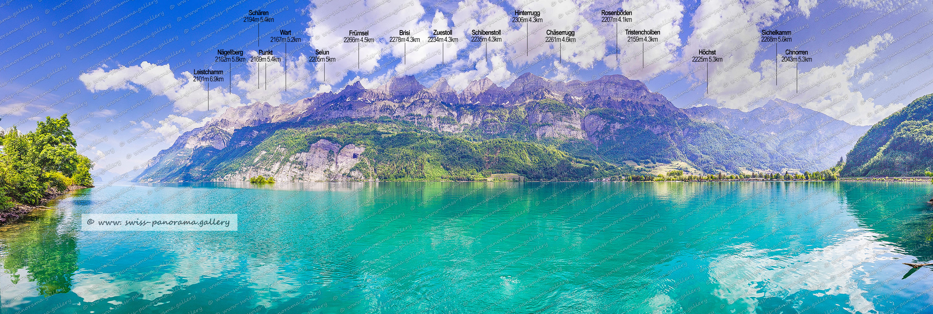 Churfirsten Walensee panorama, beschriftetes Schweizer Alpenpanorama Walenstadt , Panoramic picture of the Swiss Alps, Panoramic photos of the Swiss Alps, Beschriftetes Panorama Walensee, Beschriftetes Panorama Churfirsten, Schären 2194m SG (Churfirsten), Nägeliberg 2162m, Leistchamm 2101m SG (Churfirsten), Selun 2205m SG (Churfirsten), Wart 2167m SG (Churfirsten), Glattchamm 2098m SG (Churfirsten), Frümsel 2266m SG (Churfirsten), Brisi 2278m SG (Churfirsten)  , Hinterrugg 2306m SG (Churfirsten), Zuestoll 2234m  SG (Churfirsten)  , Schibenstoll 2235m  SG (Churfirsten), Hirzli 1640m, Austock 1423m SZ (Reichenburg)  25.9km, Wageten 1755m GL 22,6km, Chäserrugg 2261m SG (Churfirsten) 4.2km, Riseten 1736m GL, Chli Güslen 1868m SG,  Mürtshenstock (Stock) 2390m, Nüenchamm1904mGL  13.9km, Rosenböden 2207m SG (Churfirsten) 4.2km, Cuncels 1938m 6.7km, Gross Güslen 1843m SG, Aulinachopf 1170m, swiss-panorama.gallery, famous Swiss Alps, Swiss Panorama Gallery, labelled mountain panorama from Switzerland,